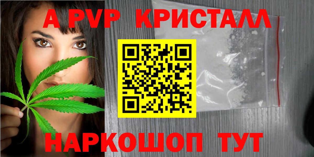 A PVP СК Камень-на-Оби