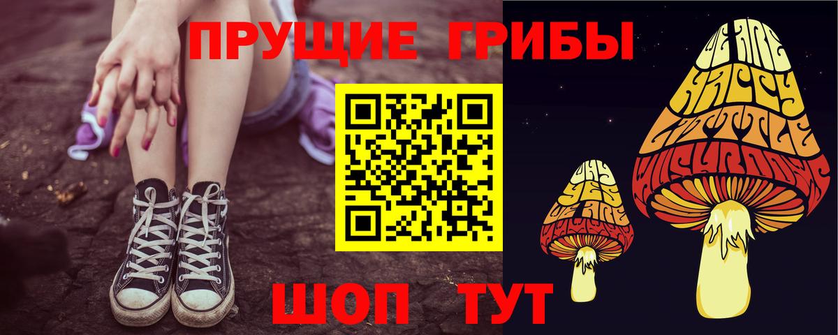 Галлюциногенные грибы мухоморы Камень-на-Оби