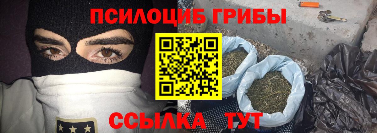 Камень-на-Оби  Псилоцибиновые грибы Psilocybe  Вход с VPN 